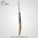 Gunn & Moore Diamond Signature Cricket Bat - Cricket shop italy