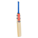 Gray Nicolls Stratos 1.0 Thunder Kashmir Willow Cricket Bat Gray Nicolls