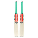 Gray Nicolls VENTUS 1.0 WARRIOR Kashmir Willow Cricket Bat Gray Nicolls