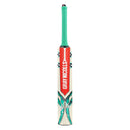 Gray Nicolls VENTUS 1.0 WARRIOR Kashmir Willow Cricket Bat Gray Nicolls