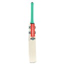 Gray Nicolls VENTUS 1.0 WARRIOR Kashmir Willow Cricket Bat Gray Nicolls