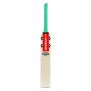 Gray Nicolls VENTUS 1.0 WARRIOR Kashmir Willow Cricket Bat Gray Nicolls