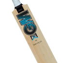 Gunn & Moore Diamond 101  Kashmir Willow Bat - Cricket shop italy