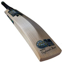 Gunn & Moore Aion DXM 606 Cricket Bat - Cricket shop italy