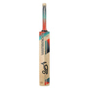 Kookaburra Aura Pro Cricket Bat -2025 - Cricket shop italy