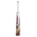 Protos P1000 Cricket bat  SH - Cricket shop italy