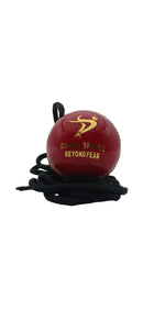 Ds Hanging Cricket Ball DS Sports