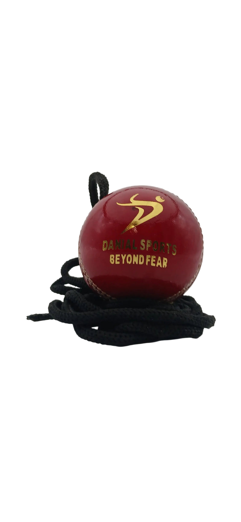 Ds Hanging Cricket Ball DS Sports