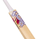 Kookaburra Glare 8. 1 Kashmir Willow Cricket Bat Kookaburra