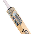 Kookaburra Prism 8.1 Kashmir Willow Cricket Bat Kookaburra