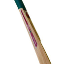 7T7T Gold Edition Hard Tennis Bat 7070sports