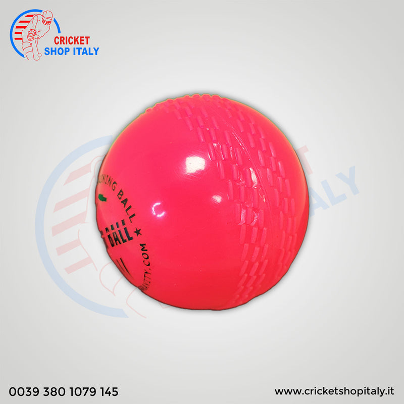 DS Wind Cricket Ball Pink ( 6 balls pack)