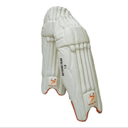 DS Sports 1.0 Batting Pads DS Sports