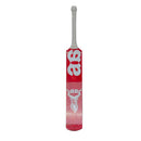 AA tape ball cricket bat