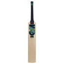 Gunn & Moore Aion DXM 606 Cricket Bat _long Handle Gunn and Moore