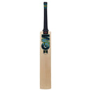 Gunn & Moore Aion DXM Signature Cricket Bat Gunn and Moore