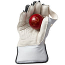 Gunn & Moore Aion Wicketkeeping Gloves - Cricket shop italy