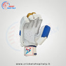 Ds 1.0 Blu/gld Cricket Batting Gloves DS Sports