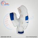 Ds D 1.0 Batting Gloves  Youth ( silver/blu) - Cricket shop italy