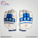 Ds D 1.0 Batting Gloves  Youth ( silver/blu) - Cricket shop italy