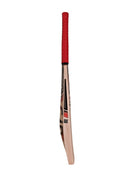 CA Pro 15000 Performance Edition English Willow Cricket Bat CA