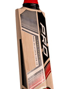 CA Pro 15000 Performance Edition English Willow Cricket Bat CA