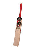 CA Pro 15000 Performance Edition English Willow Cricket Bat CA
