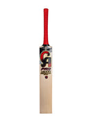 CA Pro 15000 Performance Edition English Willow Cricket Bat CA