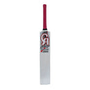 CA Pro froce 12000 tape ball cricket bat CA