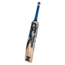 CA Gold 10000 English Willow Cricket Bat - Cricket shop italy