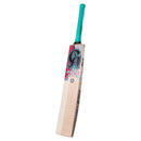 CA Gold 3000 English Willow Cricket Bat - Cricket shop italy