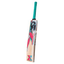 CA Gold 3000 English Willow Cricket Bat - Cricket shop italy