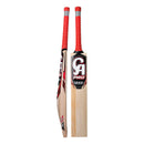 CA PRO 12000 English Willow Cricket Bat CA