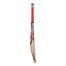 CA PRO 12000 English Willow Cricket Bat CA