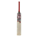 CA Pro froce 12000 tape ball cricket bat CA