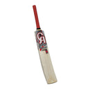 CA Pro froce 12000 tape ball cricket bat CA
