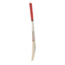 CA Pro froce 12000 tape ball cricket bat CA