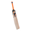 CA Pro 5000 English Willow Cricket Bat - Cricket shop italy