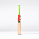 Gray Nicolls Havoc 1.3 Thunder Kashmir willow Cricket Bat Gray Nicolls