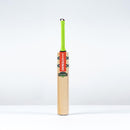 Gray Nicolls Havoc 1.3 Thunder Kashmir willow Cricket Bat Gray Nicolls