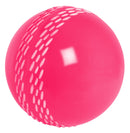 Gray Nicolls Velocity Cricket Ball Gray Nicolls