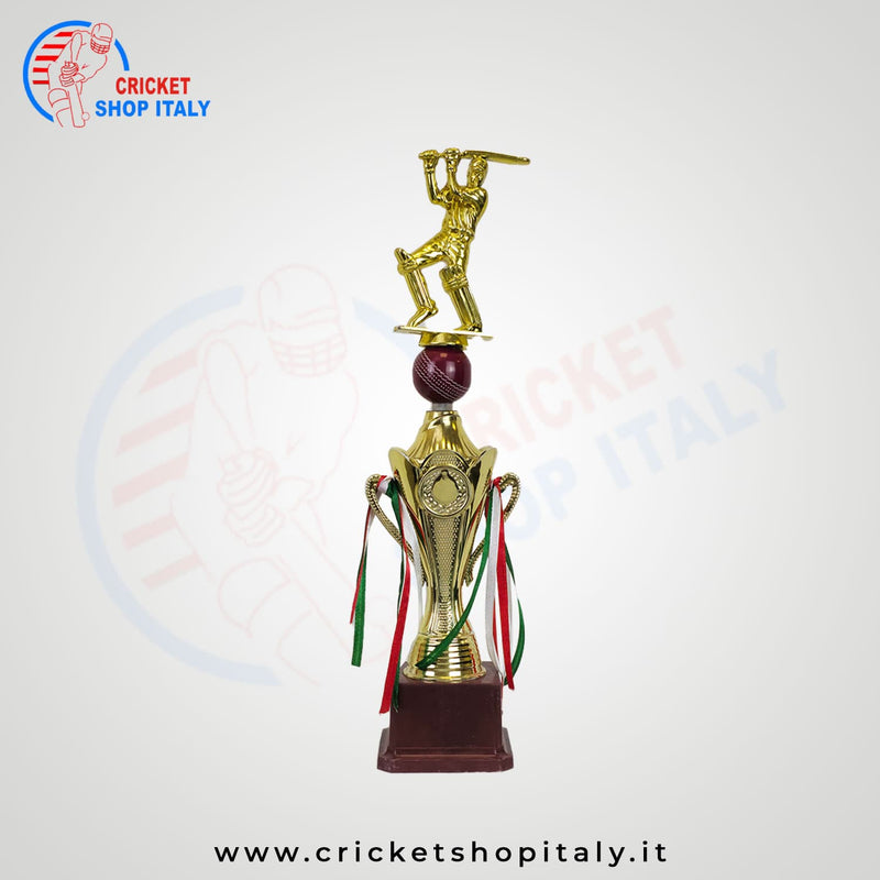 Cricket Trophy Runner Up