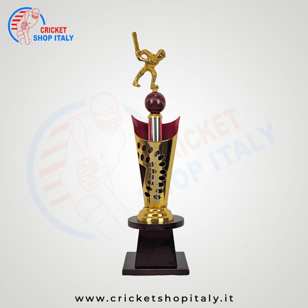 Cricket Trophy Batsman 2458