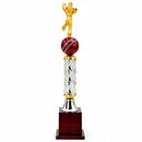 Cricket Bowler Trophy-271 CSI