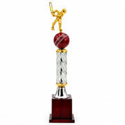 Cricket Batsman Trophy -270 CSI