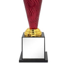 Power Play Cricket Trophy Cricket shop italy