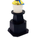 Crown's Blue And Gold Butterfly Streak Trophy - Cricket shop italy