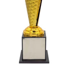 Crystal Gold Cricket Trophy DS Sports
