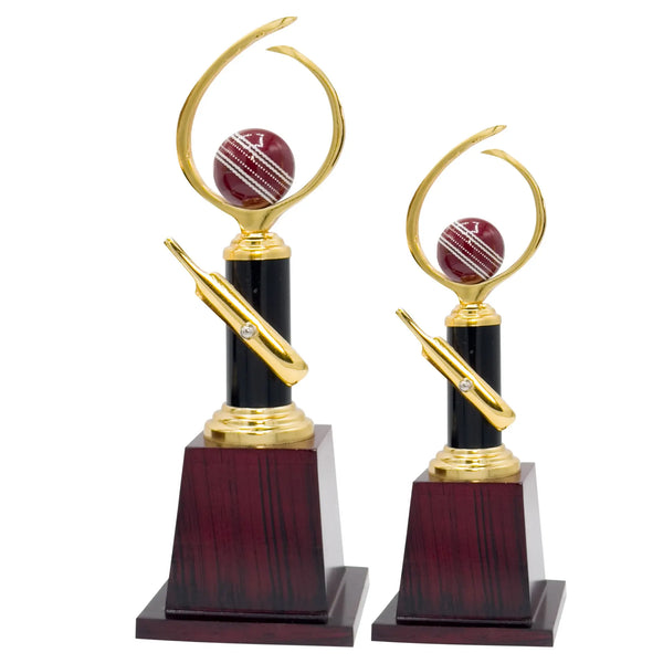 Pro Cricket Trophy -272