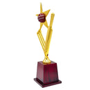 Star Crickter Trophy-266 CSI